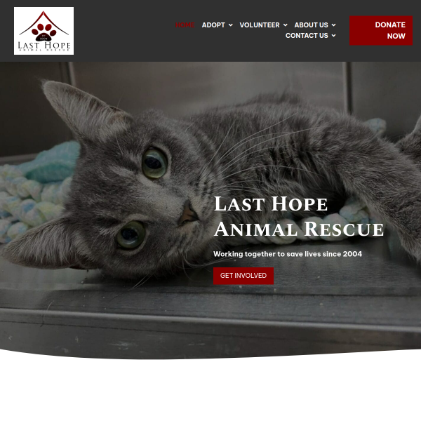 Animal Rescue Services – Last Hope Animal Rescue