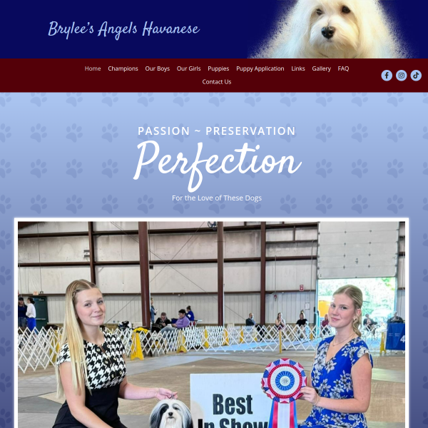 Brylee’s Angels Havanese | Top Quality Havanese Breeder